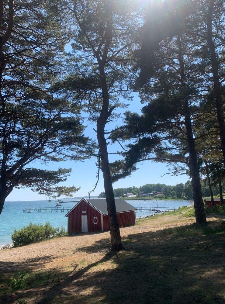 Forsbäck en vacker sommardag.